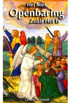 Brave New Books Het Boek Openbaring Zoals Het Is - (ISBN:9789402187267)