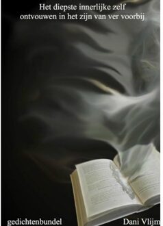 Brave New Books Het Diepste Innerlijke Zelf Ontvouwen In Het Zijn Van Ver Voorbij - Dani Vlijm