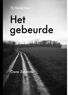 Brave New Books Het Gebeurde - Oene Zwietink