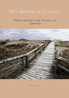 Brave New Books Het Goddelijk Concept - Boek Willy Santy (940217575X)