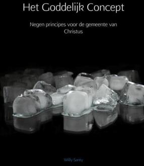 Brave New Books Het Goddelijk Concept - (ISBN:9789402179484)