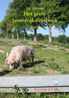 Brave New Books Het grote zomervakantieboek / 2017 - Boek Ivo Kievenaar (9402163379)