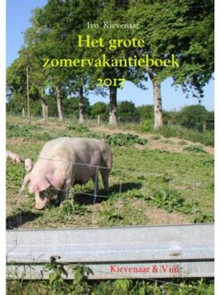 Brave New Books Het grote zomervakantieboek / 2017 - Boek Ivo Kievenaar (9402163379)