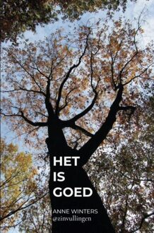 Brave New Books Het is goed - Anne Winters - ebook