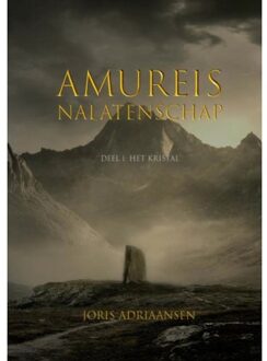 Brave New Books Het kristal - Boek Joris Adriaansen (9402170596)