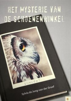 Brave New Books Het mysterie van de schoenenwinkel - Sylvia de Jong - van der Graaf - ebook