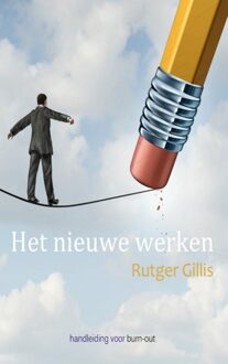 Brave New Books Het nieuwe werken - eBook Rutger Gillis (9402102698)