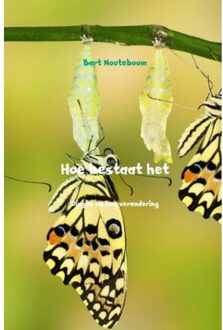 Brave New Books Hoe Bestaat Het