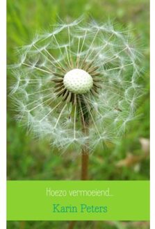 Brave New Books Hoezo vermoeiend... - Boek Karin Peters (9402172440)