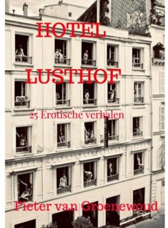 Brave New Books Hotel Lusthof - Pieter van Groenewoud