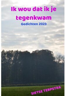 Brave New Books Ik Wou Dat Ik Je Tegenkwam - Sietse Terpstra