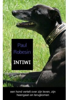 Brave New Books INTIWI - Boek Paul Robesin (9402121846)