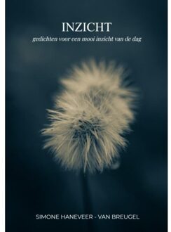 Brave New Books Inzicht - Simone Haneveer-van Breugel