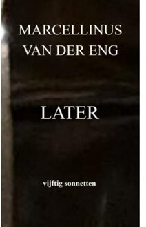 Brave New Books Later - Marcellinus van der Eng