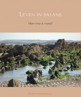 Brave New Books Leven in balans - eBook Steffie Vandierendonck (940214658X)