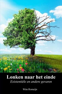 Brave New Books Lonken naar het einde - Wim Romeijn - ebook