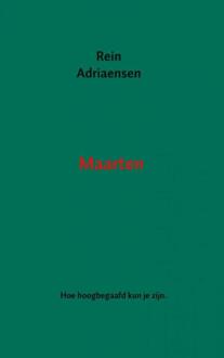 Brave New Books Maarten - Boek Rein Adriaensen (940213784X)