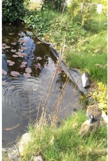 Brave New Books Mijn Dagboek - Ans Linders