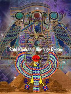 Brave New Books  Miracle Dream - Boek Said Koubaa (9402159096)