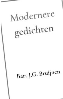 Brave New Books Modernere Gedichten - Bart J.G. Bruijnen
