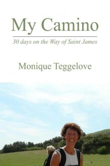 Brave New Books My Camino - Monique Teggelove - ebook