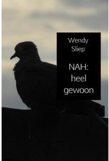 Brave New Books Nah: Heel Gewoon - Wendy Sliep