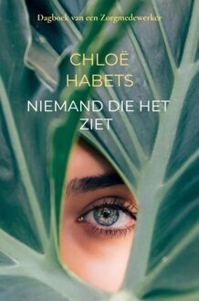 Brave New Books Niemand die het ziet - Chloë Habets - ebook