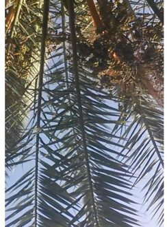 Brave New Books Onder De Palmboom