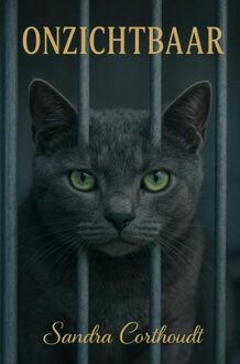 Brave New Books Onzichtbaar - Sandra Corthoudt - ebook