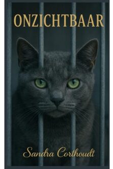 Brave New Books Onzichtbaar - Sandra Corthoudt
