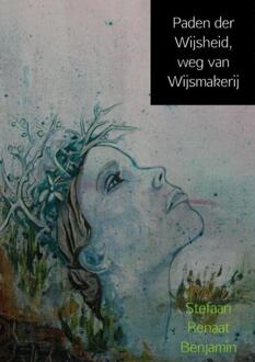 Brave New Books Paden der wijsheid, weg van wijsmakerij - Boek Stefaan Renaat Benjamin (9402156313)