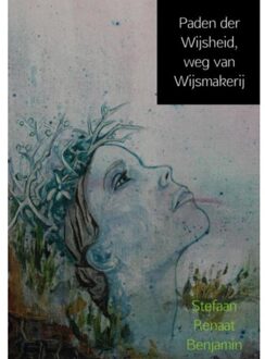 Brave New Books Paden der wijsheid, weg van wijsmakerij - Boek Stefaan Renaat Benjamin (9402156313)