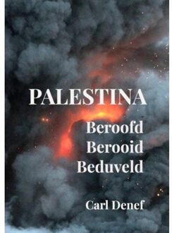 Brave New Books Palestina, Beroofd, Berooid, Uitgemoord - Carl Denef