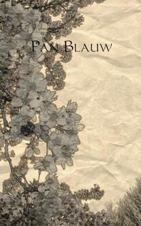 Brave New Books Pan Blauw - Boek S.R. Post (9402111549)