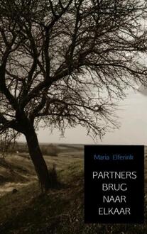 Brave New Books Partners brug naar elkaar - Boek Maria Elferink (9402177876)