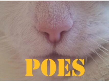 Brave New Books Poes - Cathy Geerling