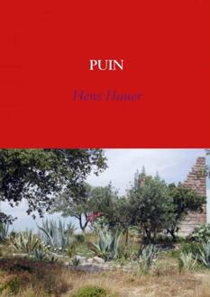 Brave New Books Puin - Boek Hens Hauer (9402121978)