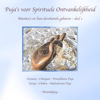 Brave New Books Puja’s Voor Spirituele Ontvankelijkheid - Anandajay _