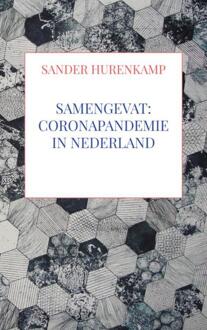 Brave New Books Samengevat: Coronapandemie In Nederland - Sander Hurenkamp
