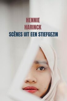 Brave New Books Scènes uit een stiefgezin - Hennie Harinck - ebook