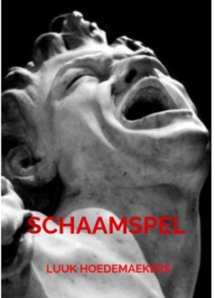 Brave New Books Schaamspel - Luuk Hoedemaekers