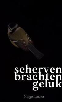 Brave New Books Scherven Brachten Geluk