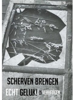 Brave New Books Scherven brengen echt geluk! - Boek Kim Verheugen (9402172378)