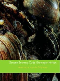 Brave New Books Scriptie Stichting Oude Groninger Kerken - eBook Maurice de van der Schueren (9402149244)
