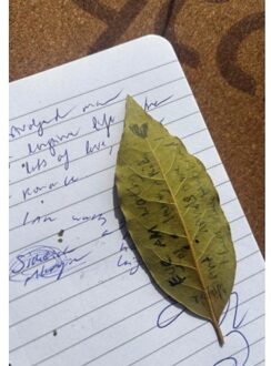 Brave New Books Smoking Syllables - Marselina Rambaldo