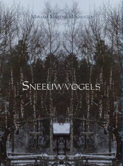 Brave New Books Sneeuwvogels - eBook Miriam Mylene Molhuizen (9402126937)