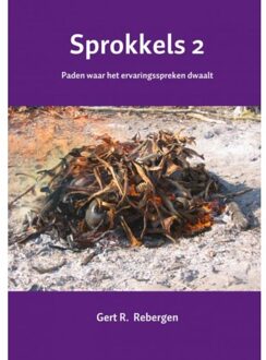 Brave New Books Sprokkels / 2 - Boek Gert R. Rebergen (9402171576)