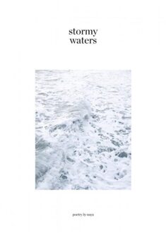 Brave New Books Stormy Waters