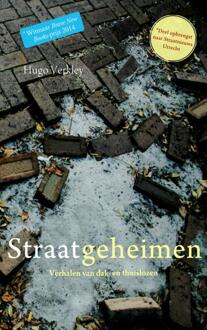 Brave New Books Straatgeheimen - Boek Hugo Verkley (9402114025)