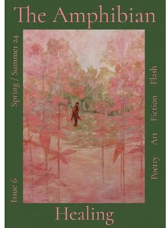 Brave New Books The Amphibian Literary And Art Journal - Literary Magazine